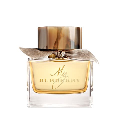 what's the best burberry perfume|best smelling Burberry.